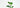 Medicinal Plants at home for kids - The Mom Store