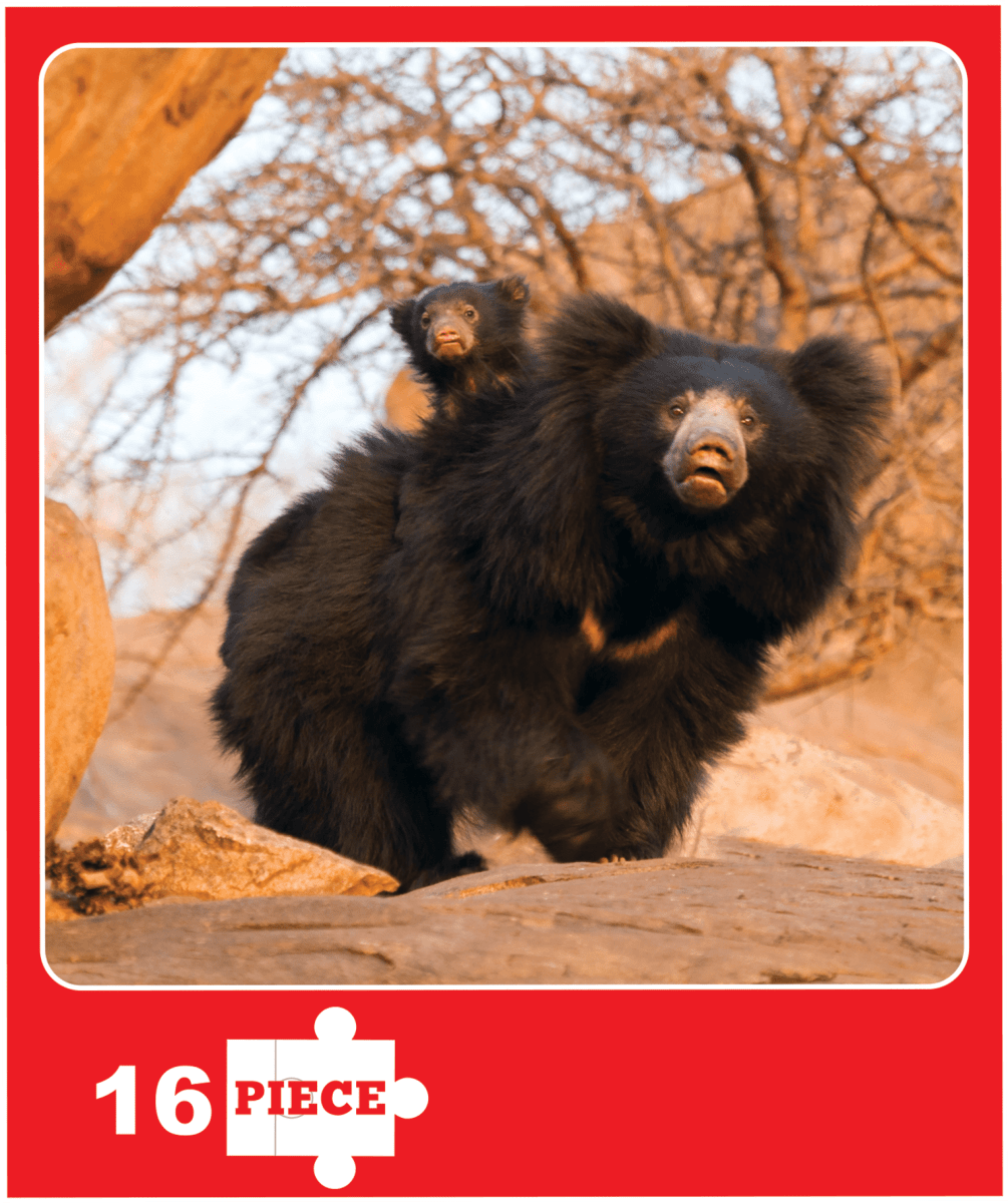Kaadoo Jodo Lion and Sloth Bear Wild Animals 2-in-1 Jigsaw Puzzle Game - KD-L&SB