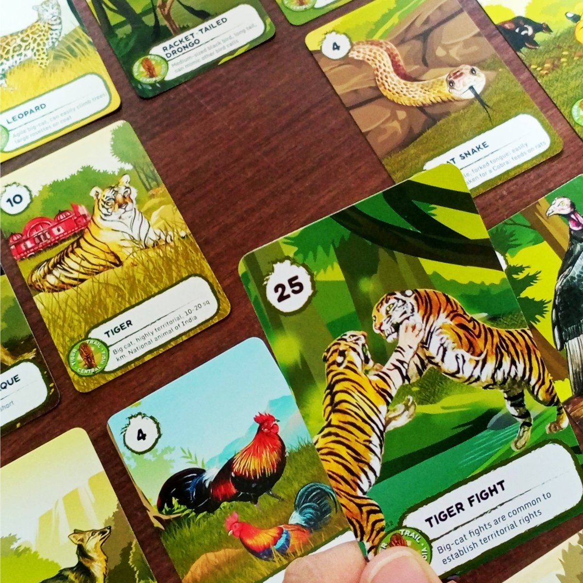 Kaadoo Tiger Trail Classic Educational Adventure Jungle Safari Kids Board Game - TBG-TT