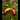 Kidocoo Rattle Set (Curved Ring - Rattle - Shaker) - Rattle