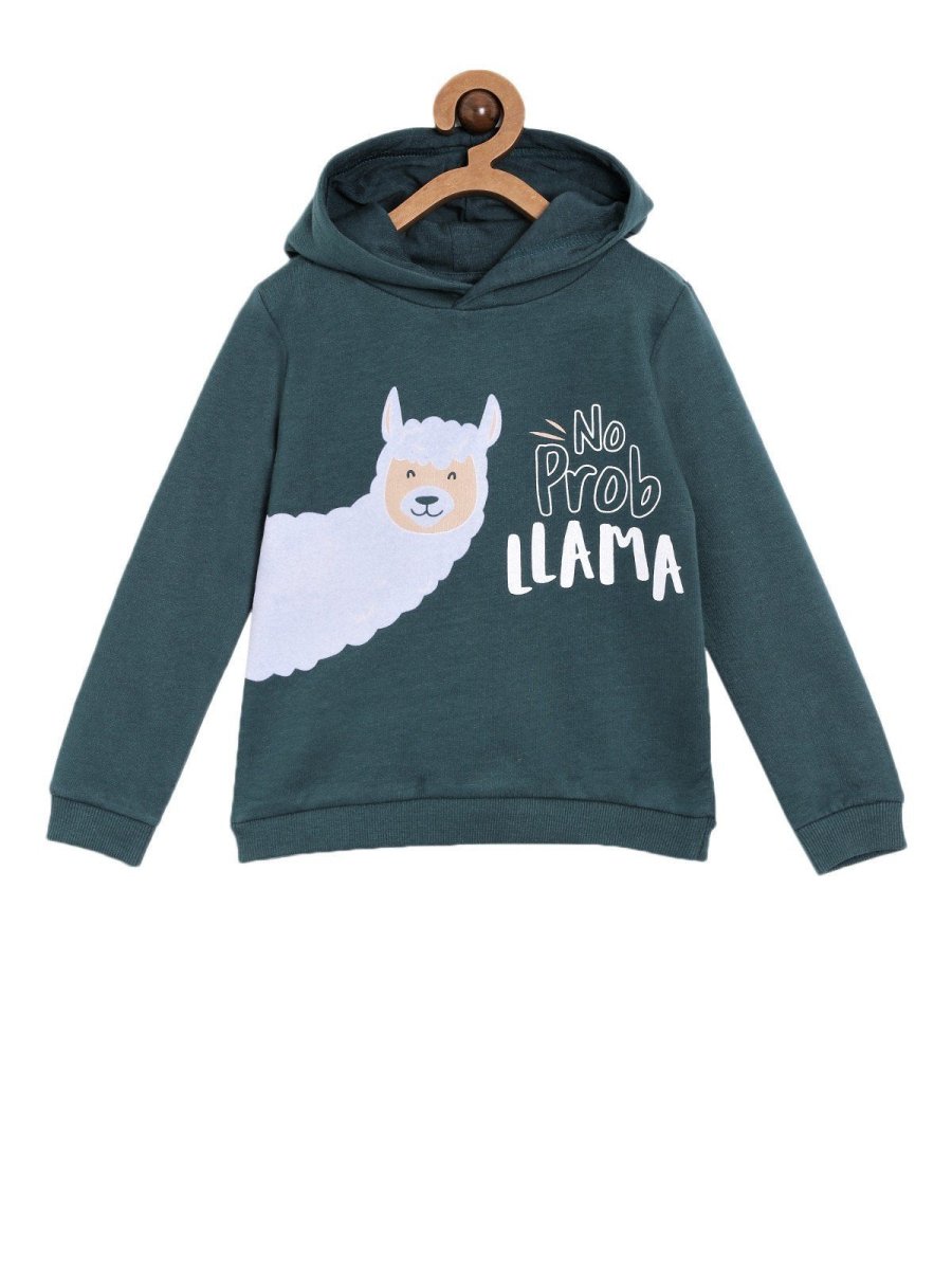No Prob Llama Hooded Sweatshirt - KS-NPLMA-0-6