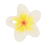 Oli & Carol Hawaii The Flower Chewy Teether - L_KALE