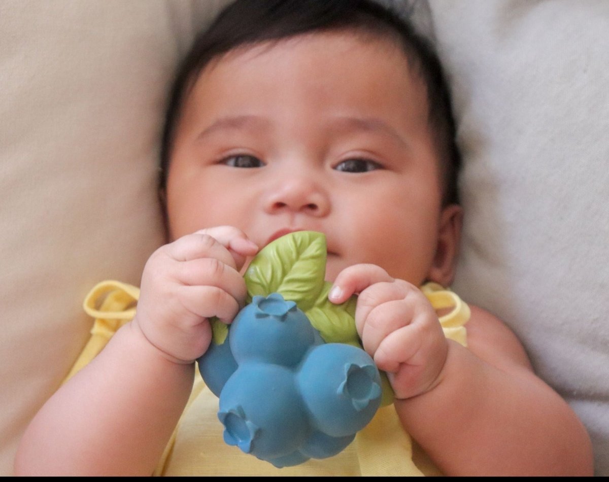 Oli & Carol Jerry The Blueberry Natural Rubber Teether - L_BLUEBERRY