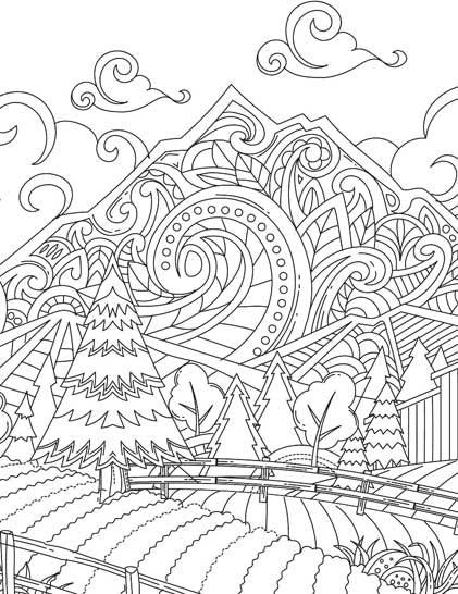 Dreamland Publications Countryside- Colouring Book For Adults - 9789386671974