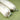 Fancy Fluff Set of 2 Bolsters- Woodland - FF-WD-BOL-01