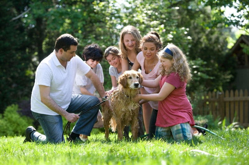 6 Healthy Habits for Children - The Mom Store