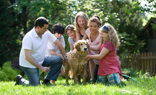 6 Healthy Habits for Children - The Mom Store