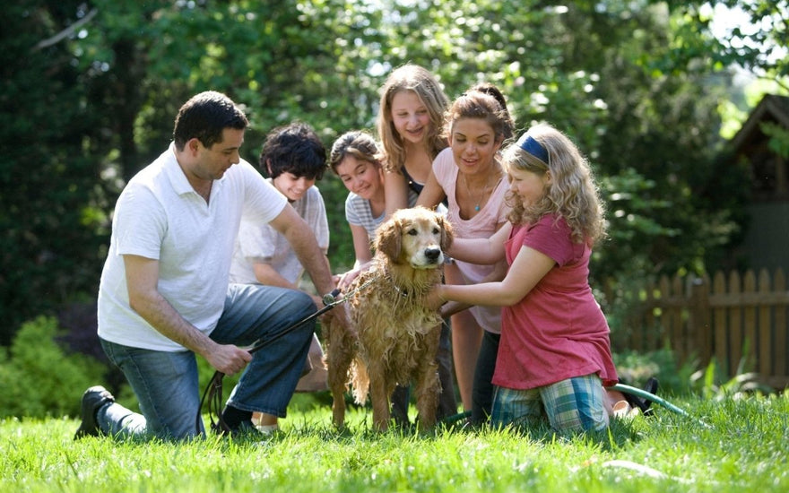 6 Healthy Habits for Children - The Mom Store