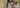 Indian father carrying a black diaper backpack and his baby down apartment steps, with grandmother beside him