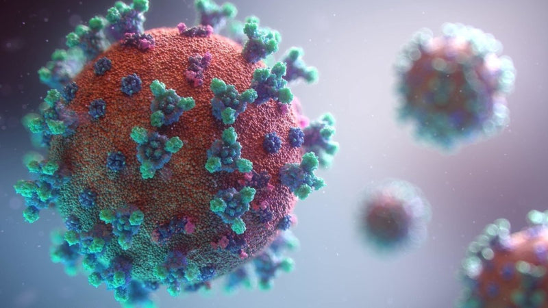 Expecting a Baby? Things you must know about Coronavirus - The Mom Store