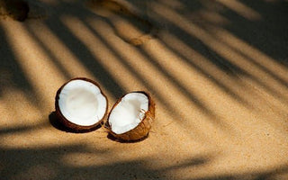 Exploring the Nutritional Value of Coconut Water for Expecting Moms - The Mom Store