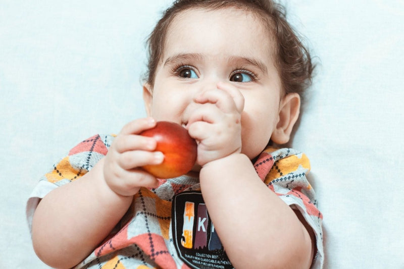Feeding Solids To Your Little One - The Mom Store