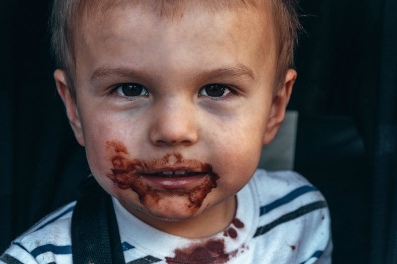 Food Jags In Toddlers - The Mom Store