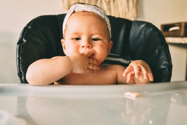 Home Made Baby Food - The Mom Store
