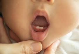 Importance Of Oral Hygiene In Infants - The Mom Store