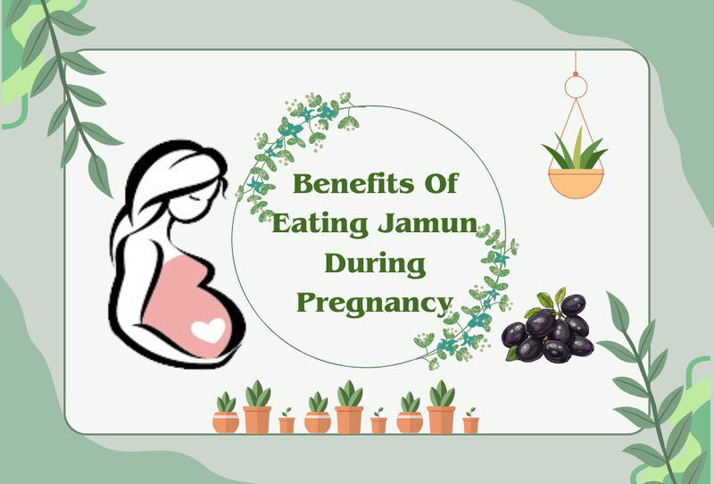 Jamun: The Pregnancy Superfruit You Need to Know About - The Mom Store