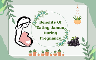 Jamun: The Pregnancy Superfruit You Need to Know About - The Mom Store