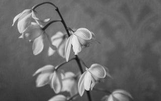 Miscarriage And How To Deal With It - The Mom Store