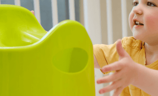 Mission Potty Training: My Personal Journey with My Little One - The Mom Store