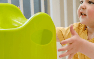 Mission Potty Training: My Personal Journey with My Little One - The Mom Store