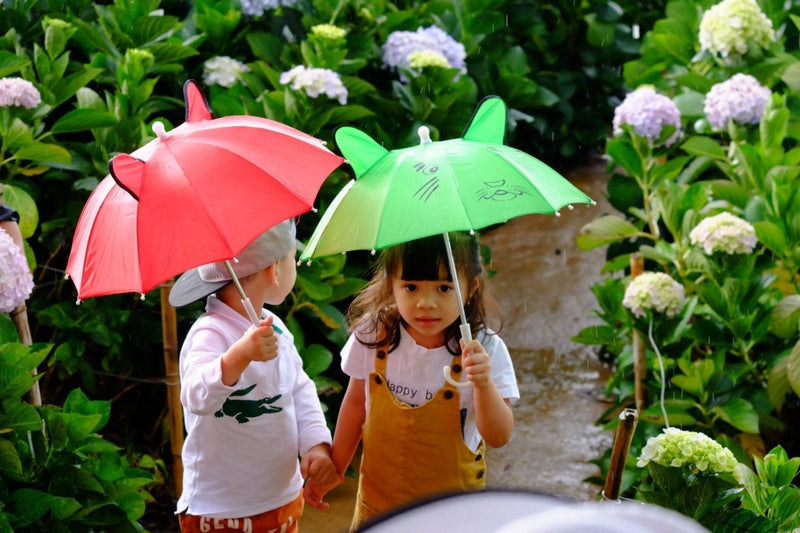 Monsoon Care for Kids - The Mom Store