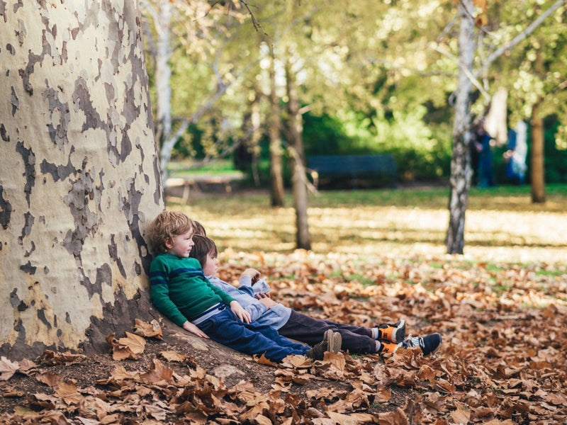 Nature Trails for young children - The Mom Store