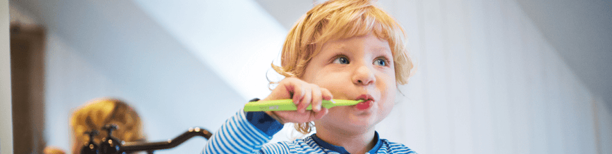 Oral Care for toddlers : What you need to know:Tips and tricks. - The Mom Store