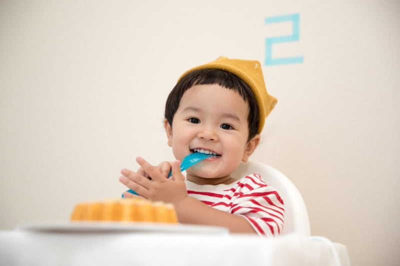 Our Baby Led Weaning Journey - The Mom Store