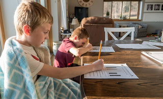 Start Homeschooling Right Away! - The Mom Store