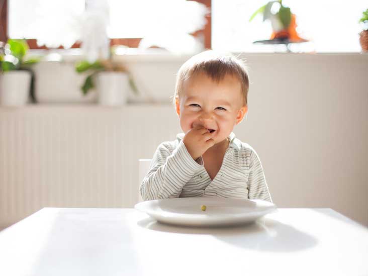 The Baby-Led Weaning Basics - The Mom Store