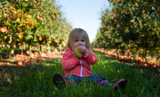 Tips & Tricks To Deal With A Fussy Eater - The Mom Store