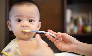 Yummylicious & Healthy Recipes For 9-12 Month Olds - The Mom Store