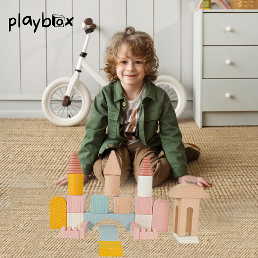 Playbox Wooden Building Blocks Toys Set