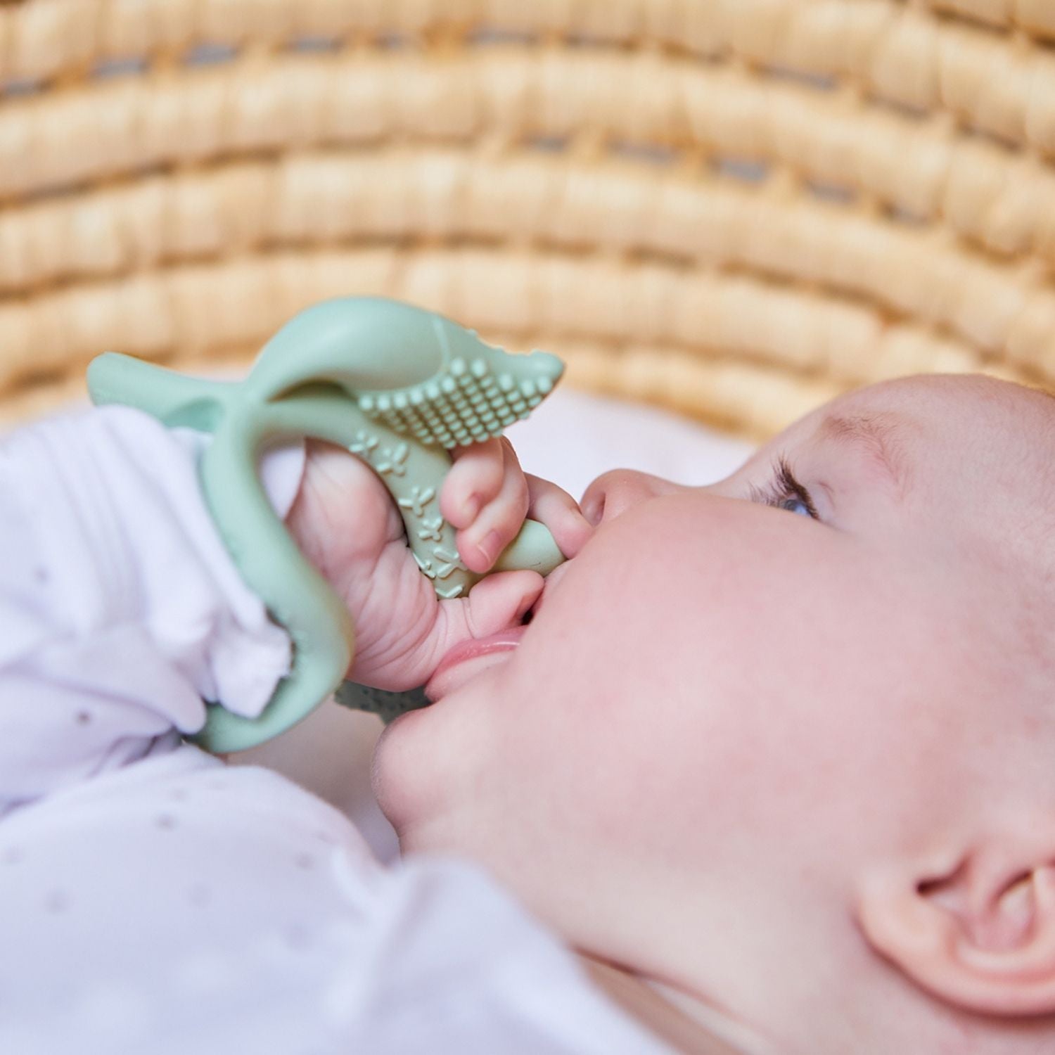 b.box Silicone Wrist Teether Fox Sage Green