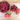 Oli & Carol Valery The Raspberry Natural Rubber Teether