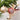16pcs Peach Snowflakes Shimmer Christmas Ball Tree ornaments XMAS Decoration Set - Little Surprise Box16pcs Peach Snowflakes Shimmer Christmas Ball Tree ornaments XMAS Decoration Set