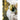 18 inches Gold King Santa , Christmas Home and Table Décor - 18 inch Christmas