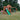 BYD Hill Crest Play Tower (incl. swings)