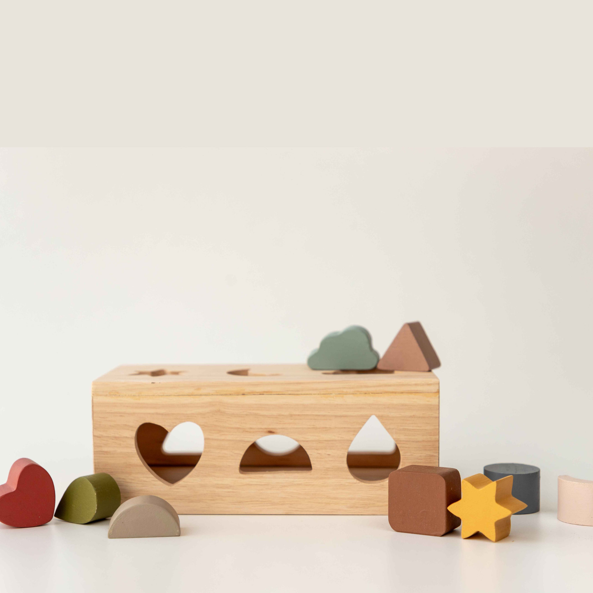 Birch & Bug Shape Puzzle Box