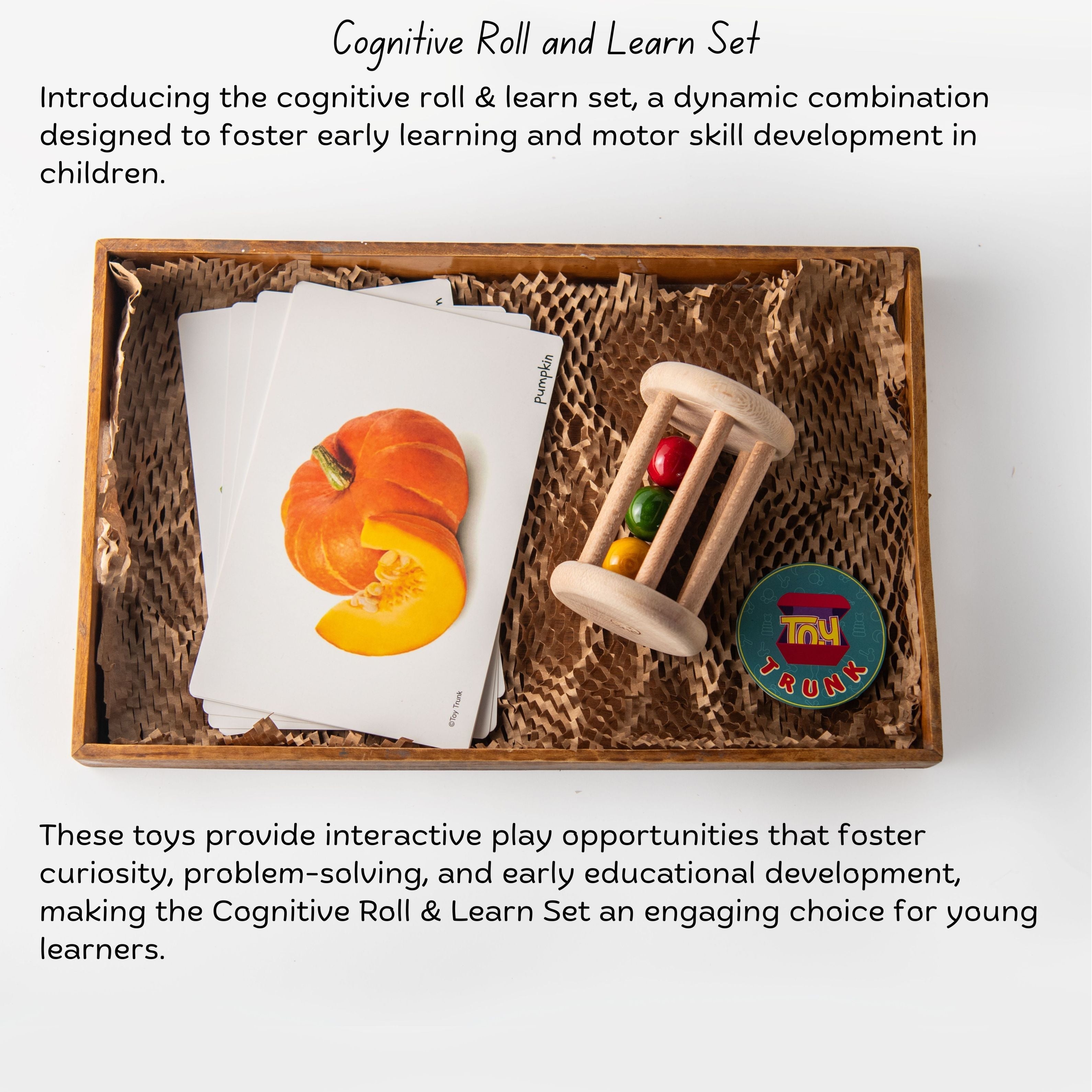 Toy Trunk Cognitive Roll and Learn Set ( Rolling rattle , Vegetable Flash cards)