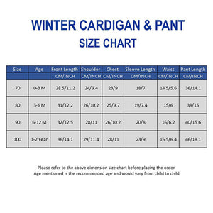 2 Pcs Blue ZigZag Pattern Winter Cardigan & Pant with Matching Cap for Infants - 0 - 3 Months Winter Wear