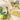 2 Pcs Set Dino Adventure Sweat Shirt And Denims Set For Toddler And Kids Winter And All Season Wear - 2 - 3 Years Kids Clothing