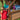BYD Cedar Cove Swing Set