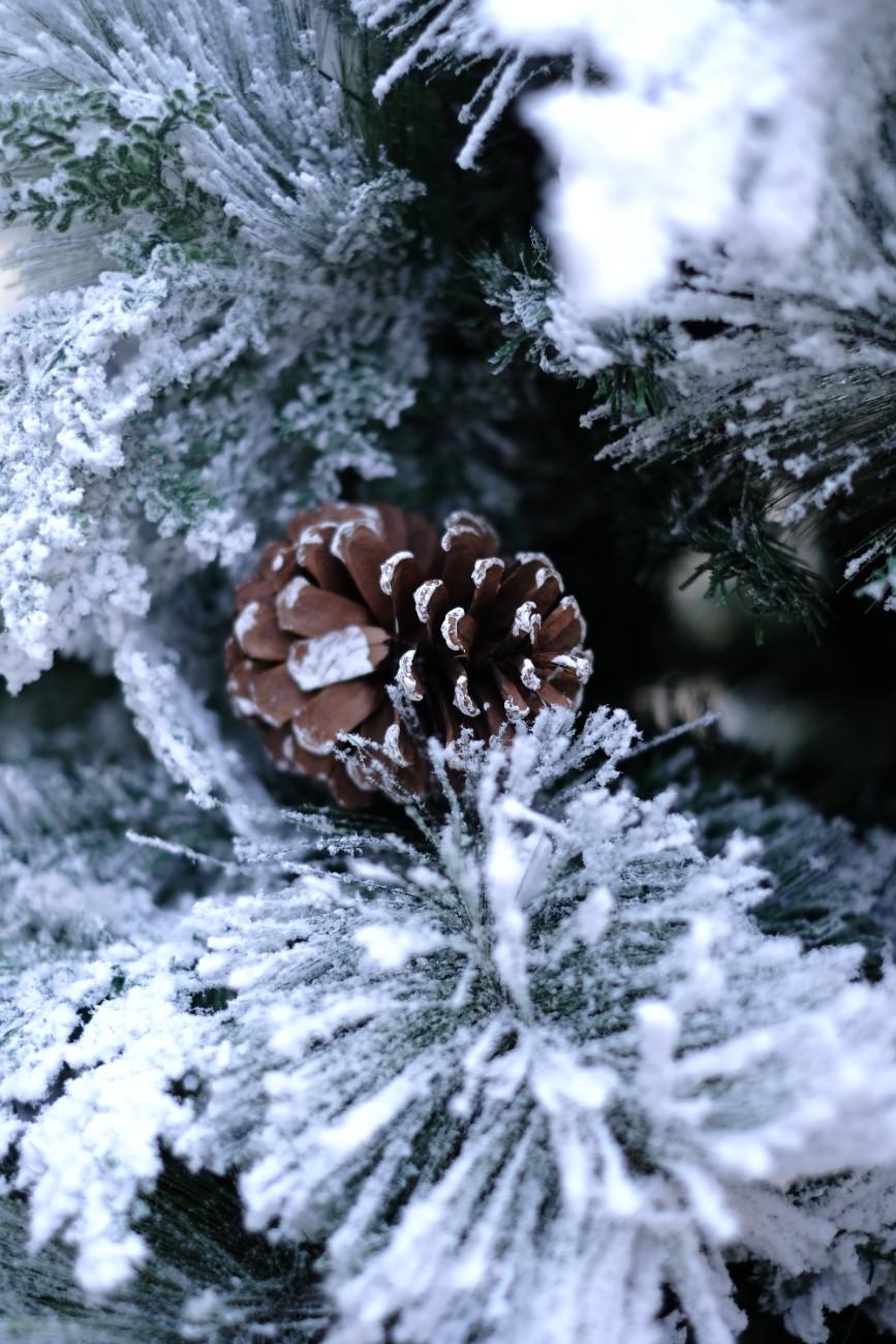 SWEN 8 feet TRUE STAR christmas tree with broad pine leaves, frosting and pine cones