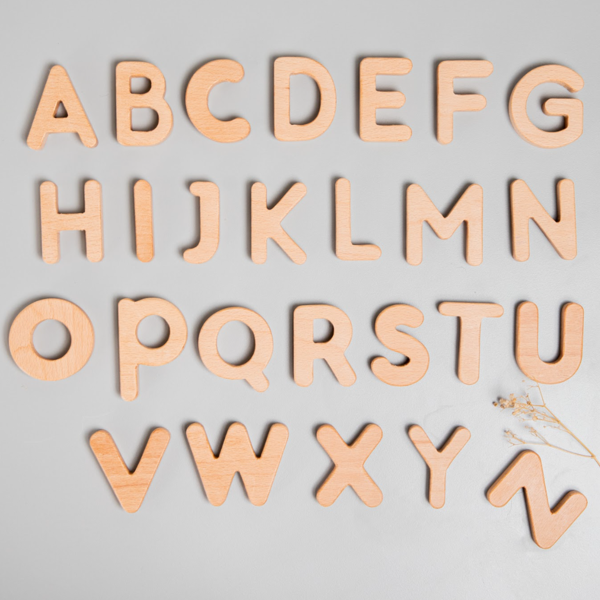 Birch & Bug Alphabet Letters Uppercase