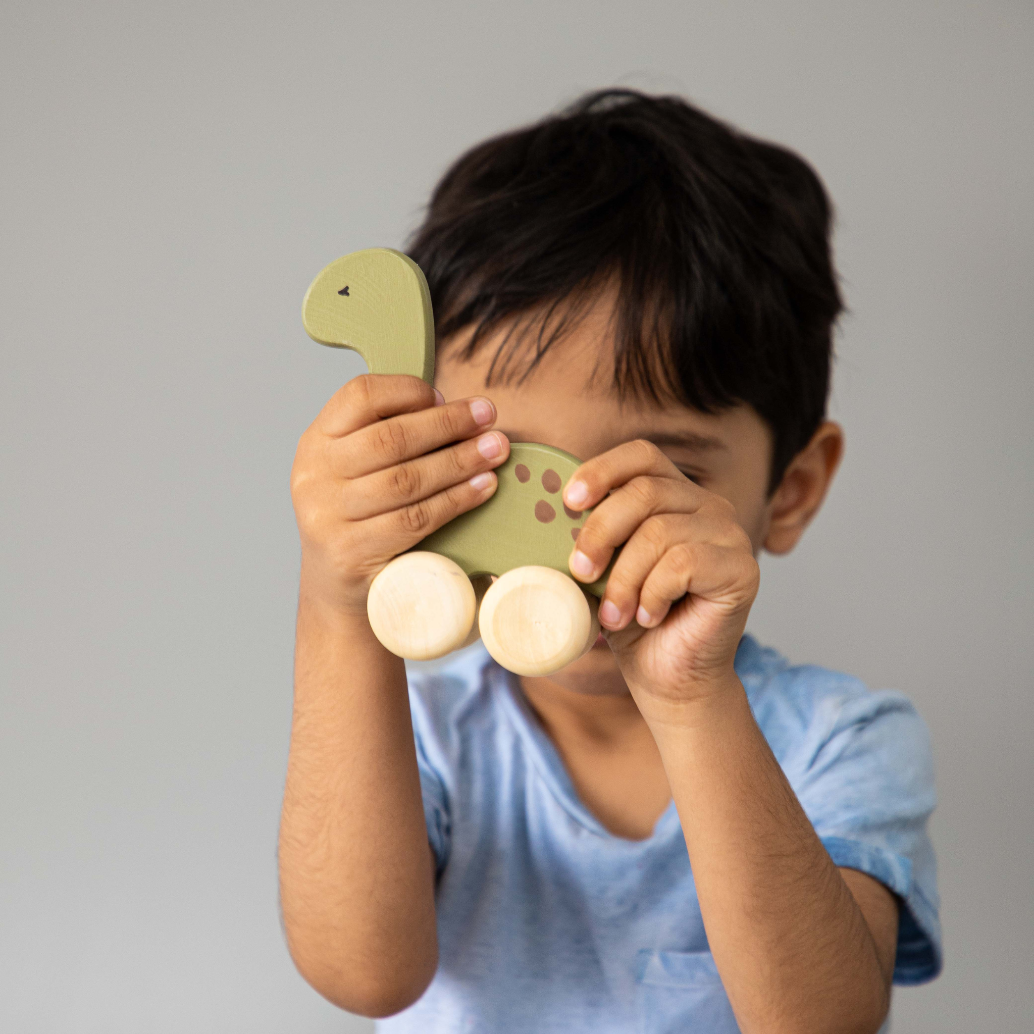 Birch & Bug Dinosaur Roller Toy