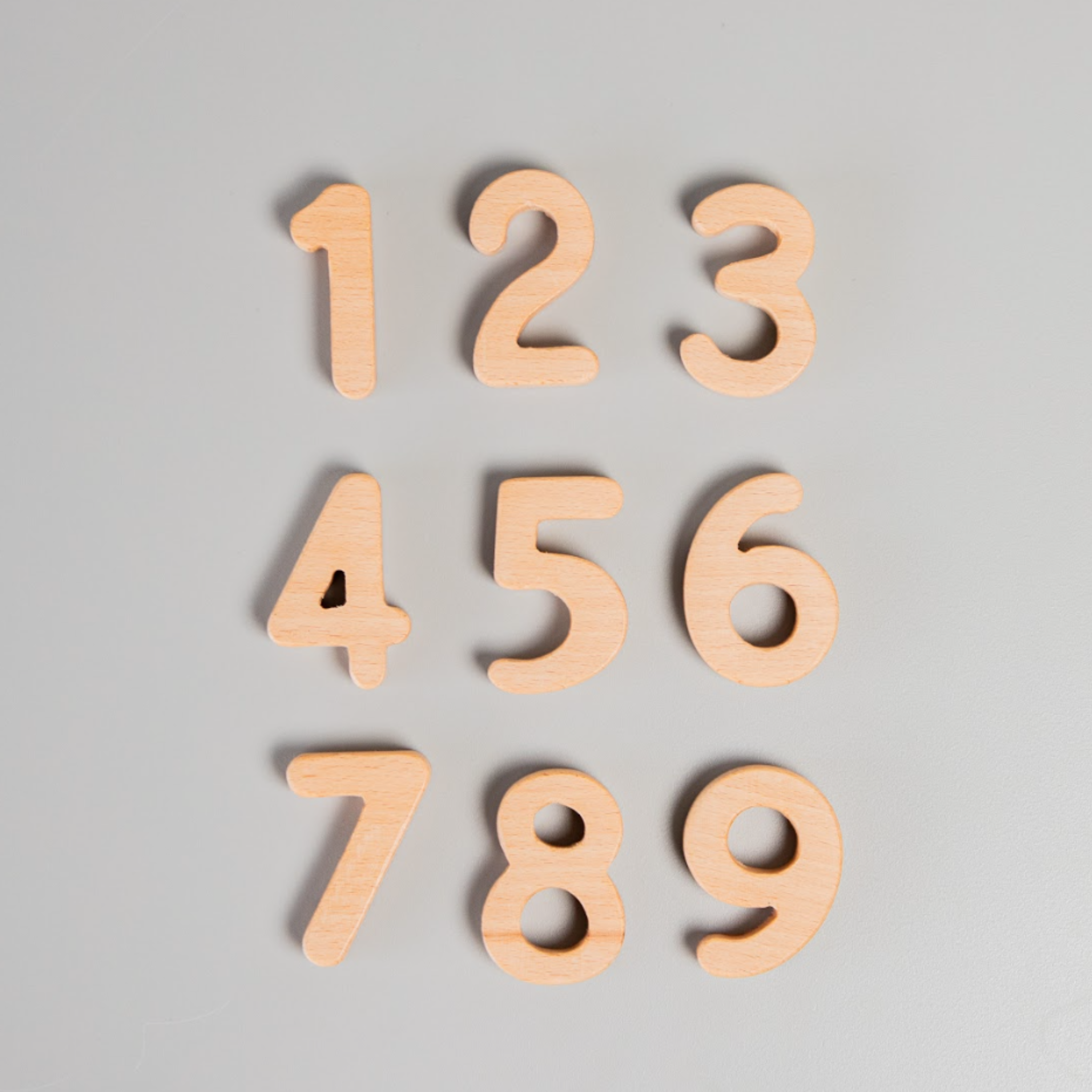 Birch & Bug Wooden Numbers