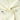 2pcs Cream Panda full sleeves shirt with matching Pants for Toddlers - 12 - 18 Months Kids Clothing