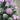 3 feet Pastel Purple Swirl Snowy Bushy Christmas Tree filled with balls and ornament Fillers - Christmas