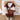 3 Pcs Set, Brown & Cream Tracksuit with and matching Sling Bag for Kids - 3 - 4 Years Kids Clothing
